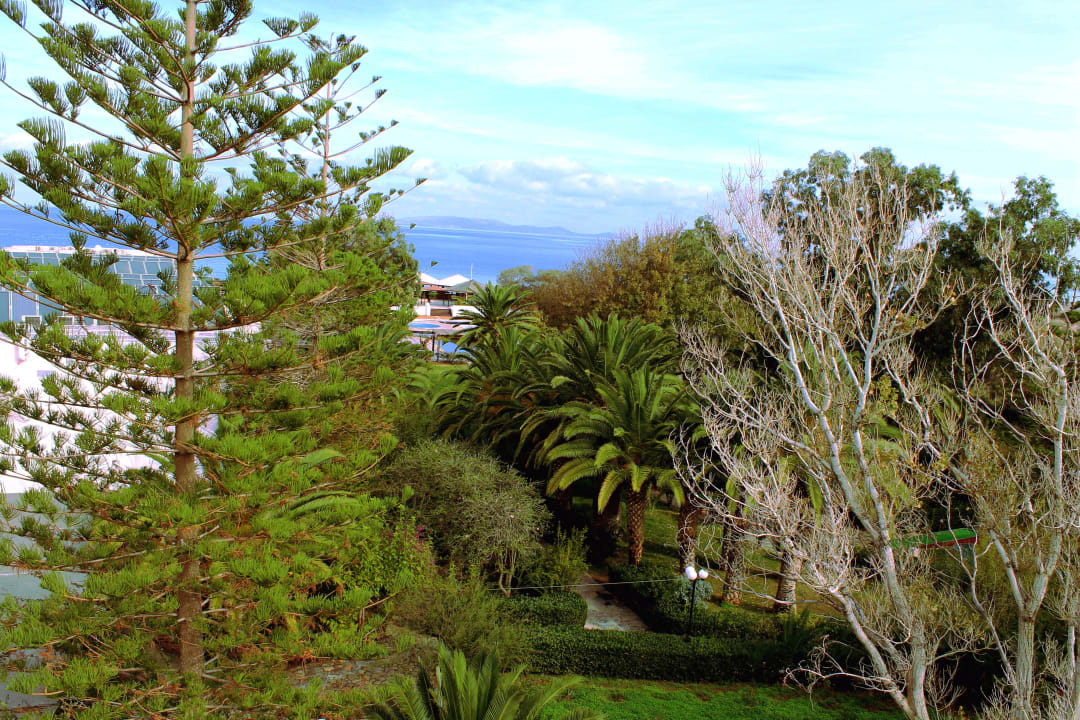 Ausblick Apollonia Beach Resort & Spa