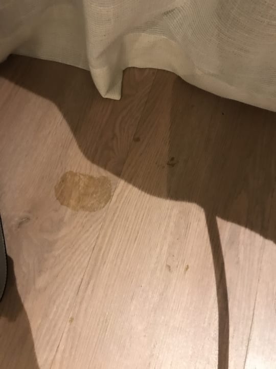 Zimmer INNSiDE Calviá Beach