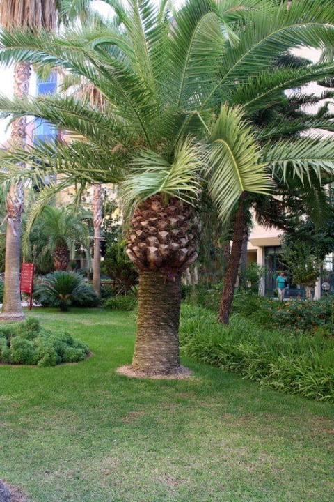 Gartenanlage Hotel Meryan