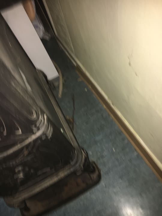 Zimmer Willeke's Blütenhof