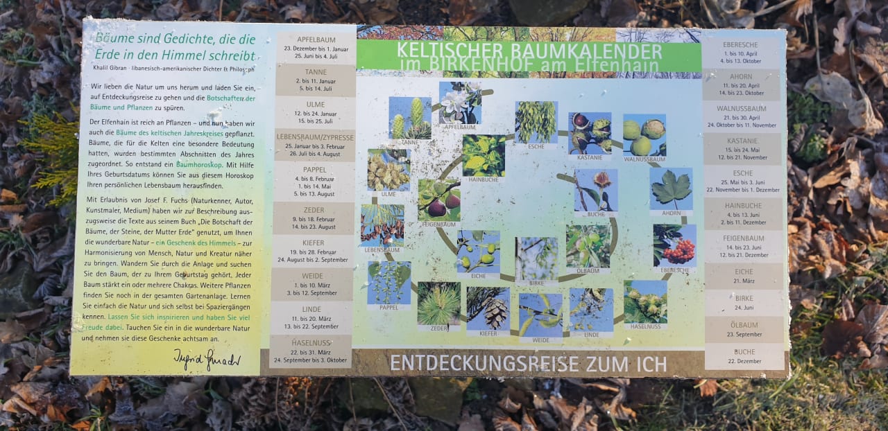 Sonstiges Spirit & SPA Hotel Birkenhof am Elfenhain