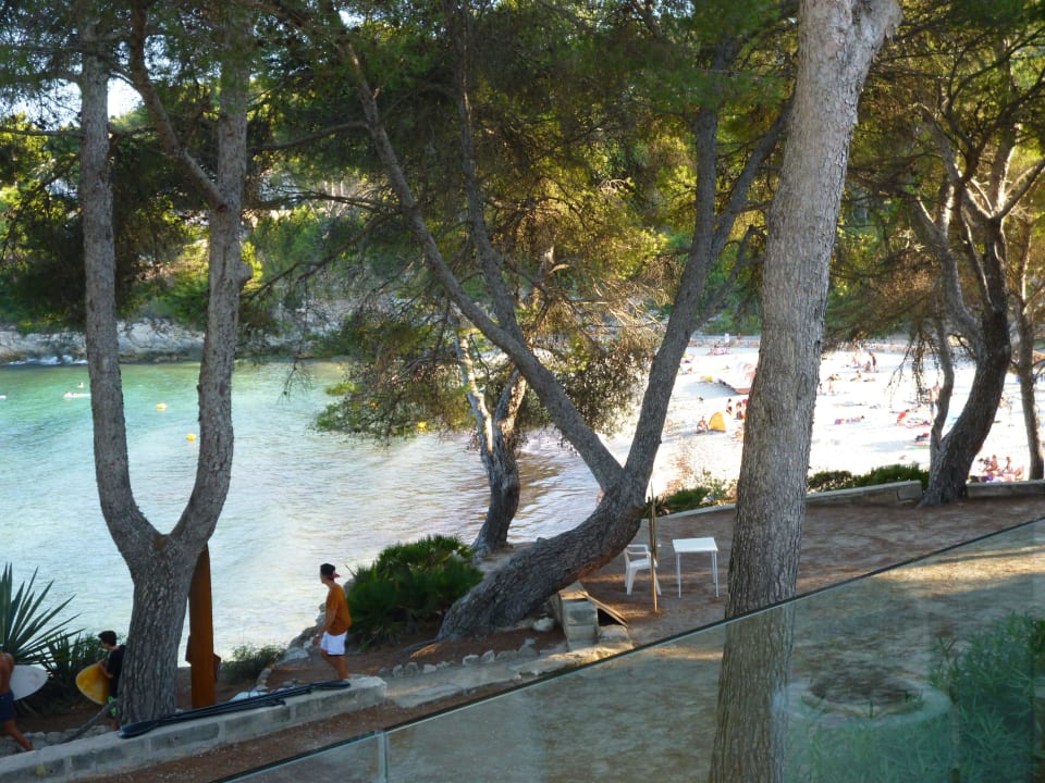 Restaurant Iberostar Waves Pinos Park