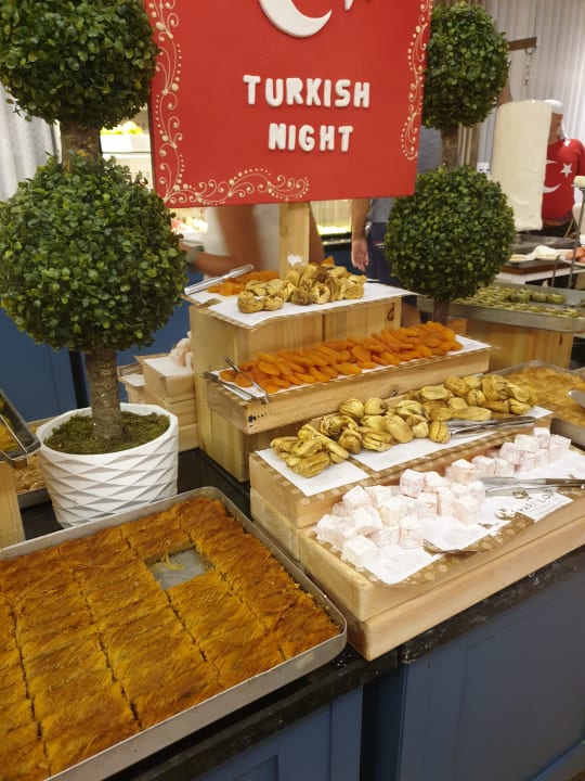 Gastro Papillon Belvil