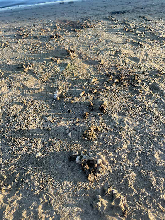 Strand EuroParcs Marina Strandbad