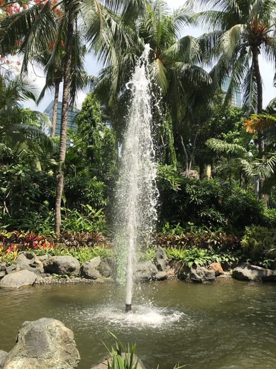 Gartenanlage Hotel Shangri-La's Edsa Plaza