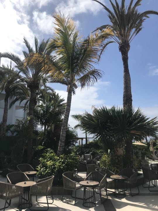 Gartenanlage Hotel Riu Palace Jandia