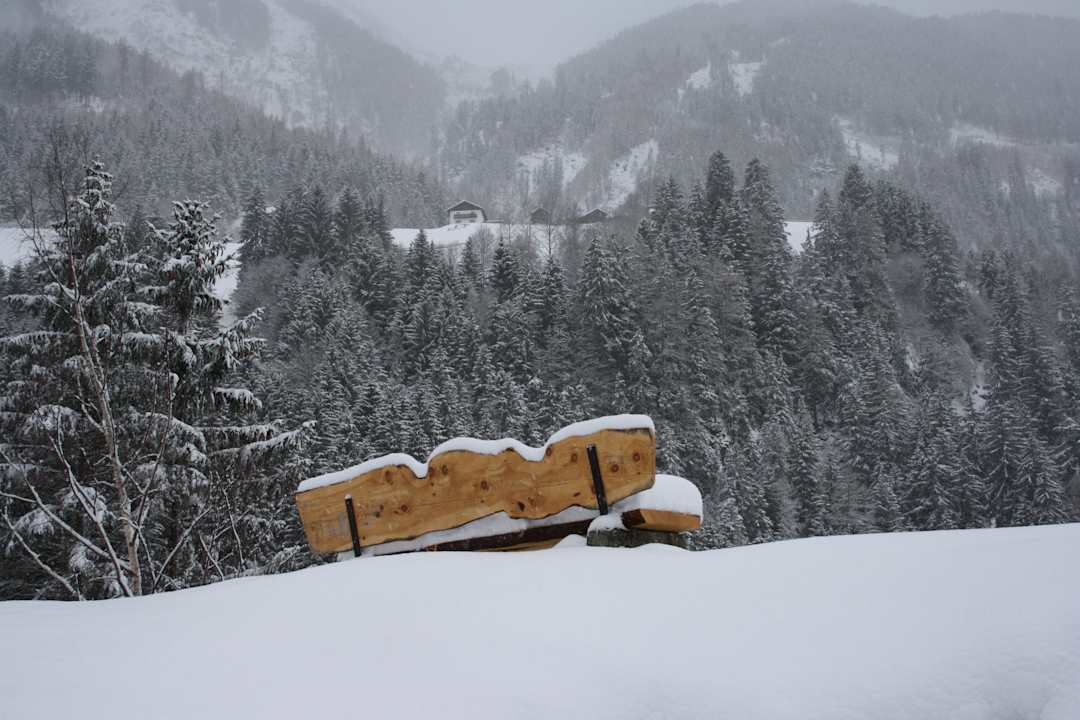 Spaziergang im Winter Gasthaus Pension Schön