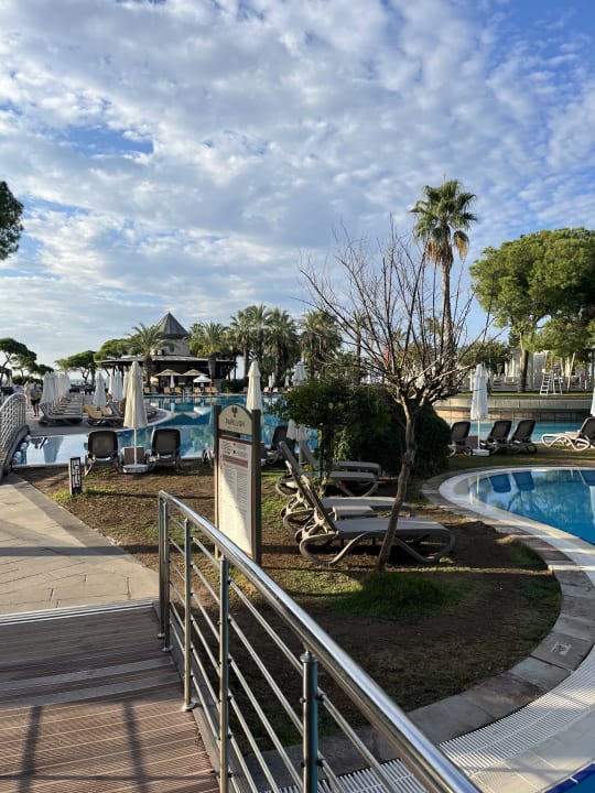 Pool Papillon Ayscha