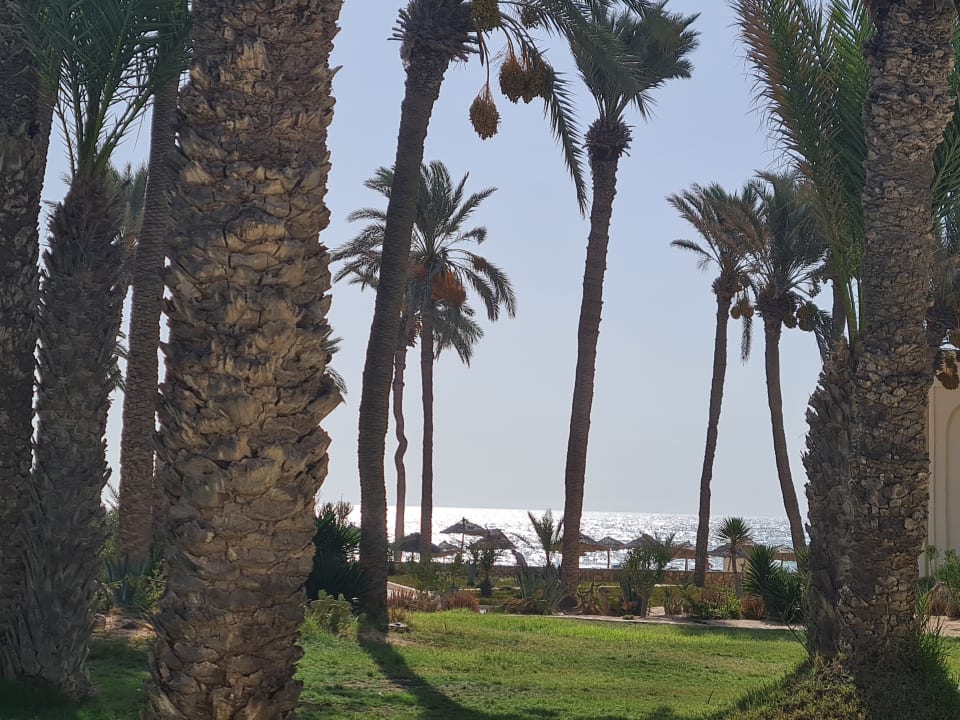 Gartenanlage Zephir Hotel & Spa