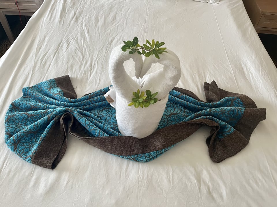 Zimmer Crystal Family Comfort Collection