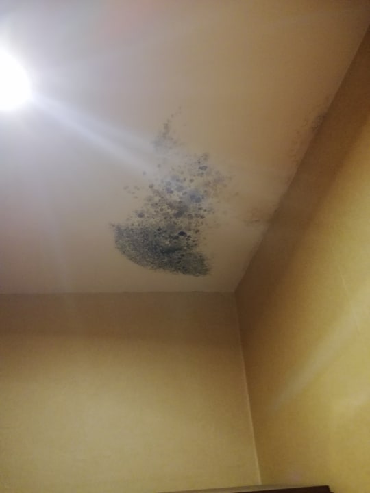 Zimmer Trianon Hotel Abu Dhabi