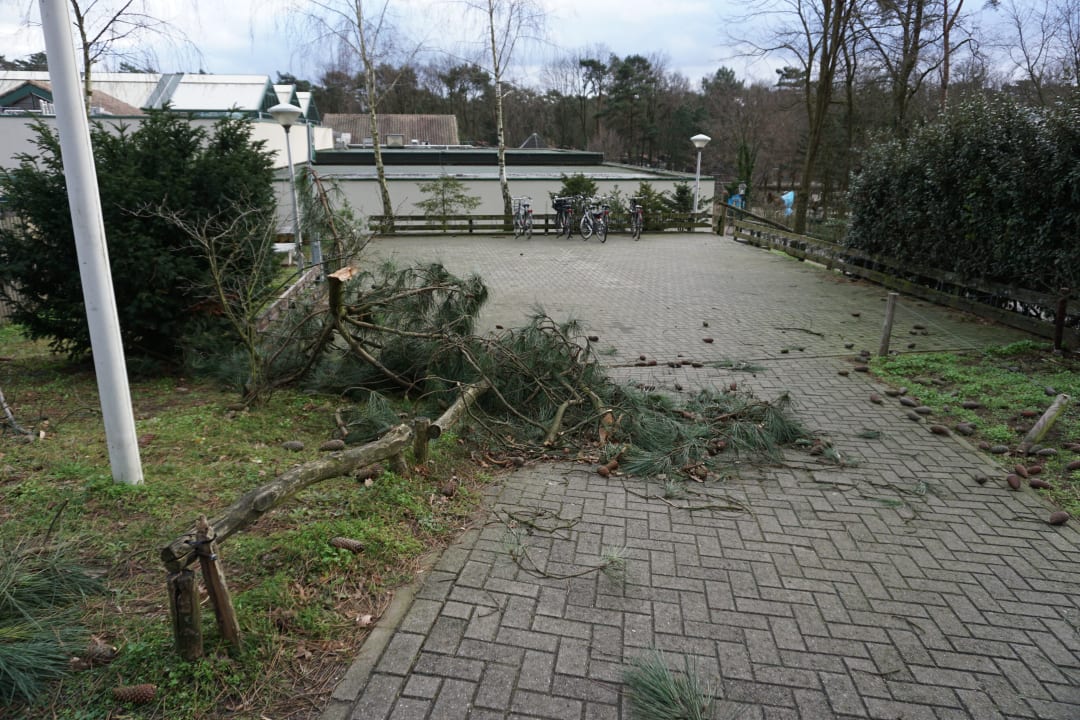 Chaos nach dem Sturm Ferienpark Landal De Lommerbergen