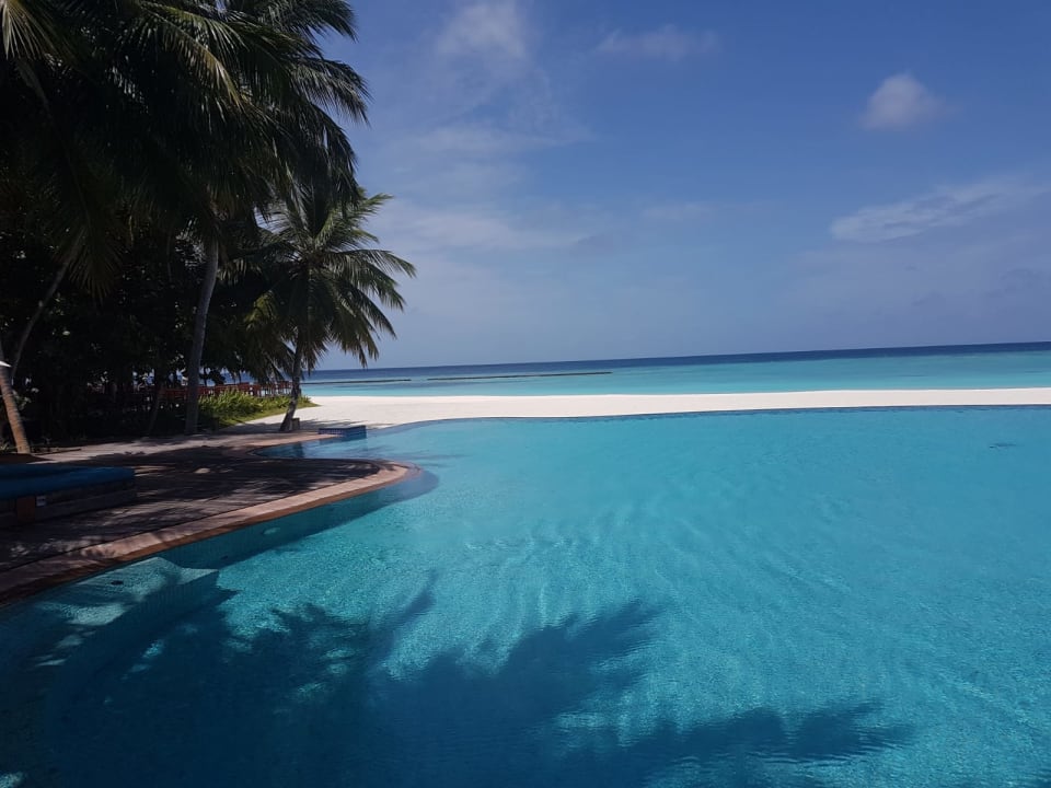 Pool Veligandu Maldives Resort Island