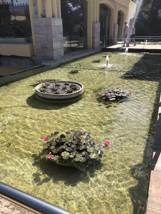 Gartenanlage Zafiro Mallorca