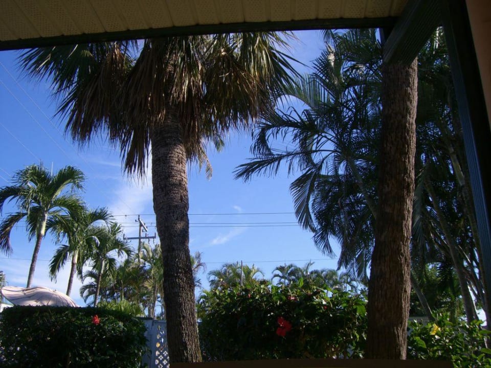 Gartenansicht Sea Shell Hotel