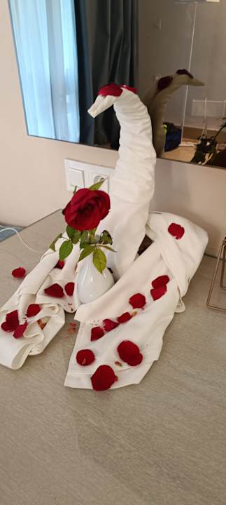 Zimmer Iberostar Selection Diar El Andalous