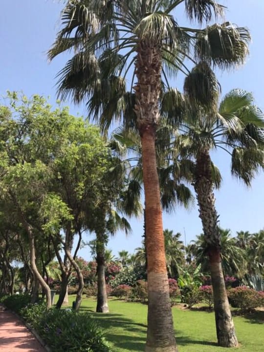 Gartenanlage VONRESORT Golden Coast