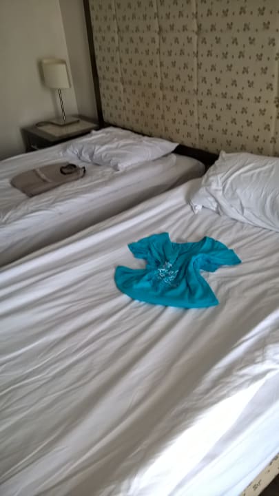 Zimmer Asteria Collection Side