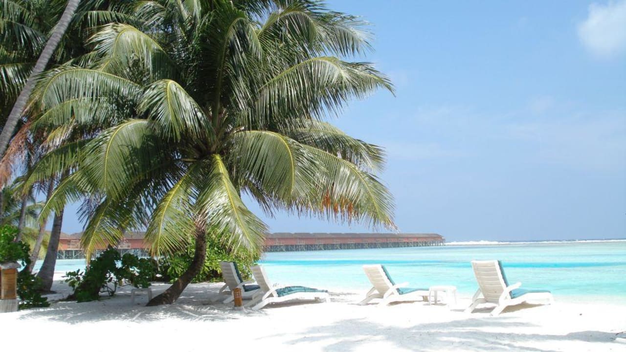 Sicht auf die Wasserbungalows Meeru Maldives Resort Island