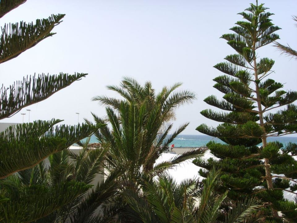 Blick aus dem Zimmer. Sentido Djerba Beach
