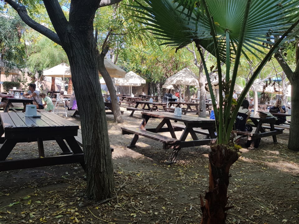 Gartenanlage Seaden Sea World Resort & Spa