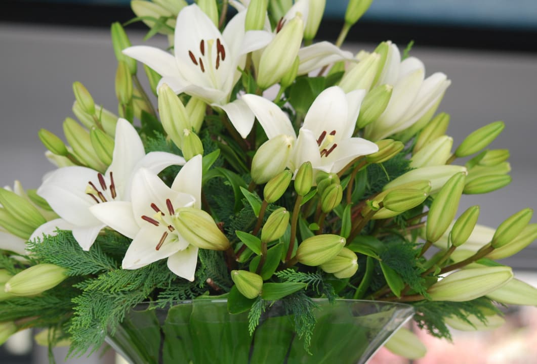 Lobby Hotel Baia Azul