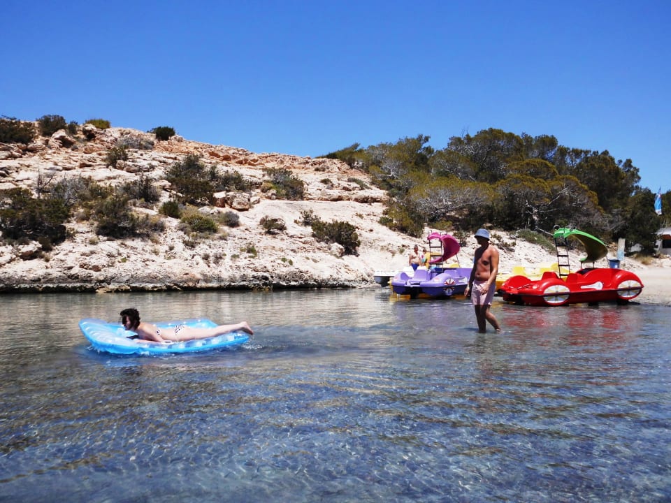 Klares Wasser, aber Algenteppich Barceló Portinatx - Adults only