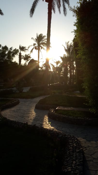 Ausblick Ali Baba Palace Resort