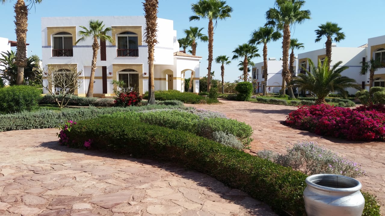 Gartenanlage Amphoras Blu