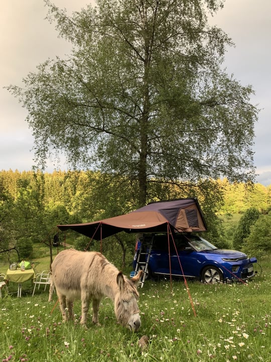 Sonstiges S'Fleckli Bioland Ferienbauernhof