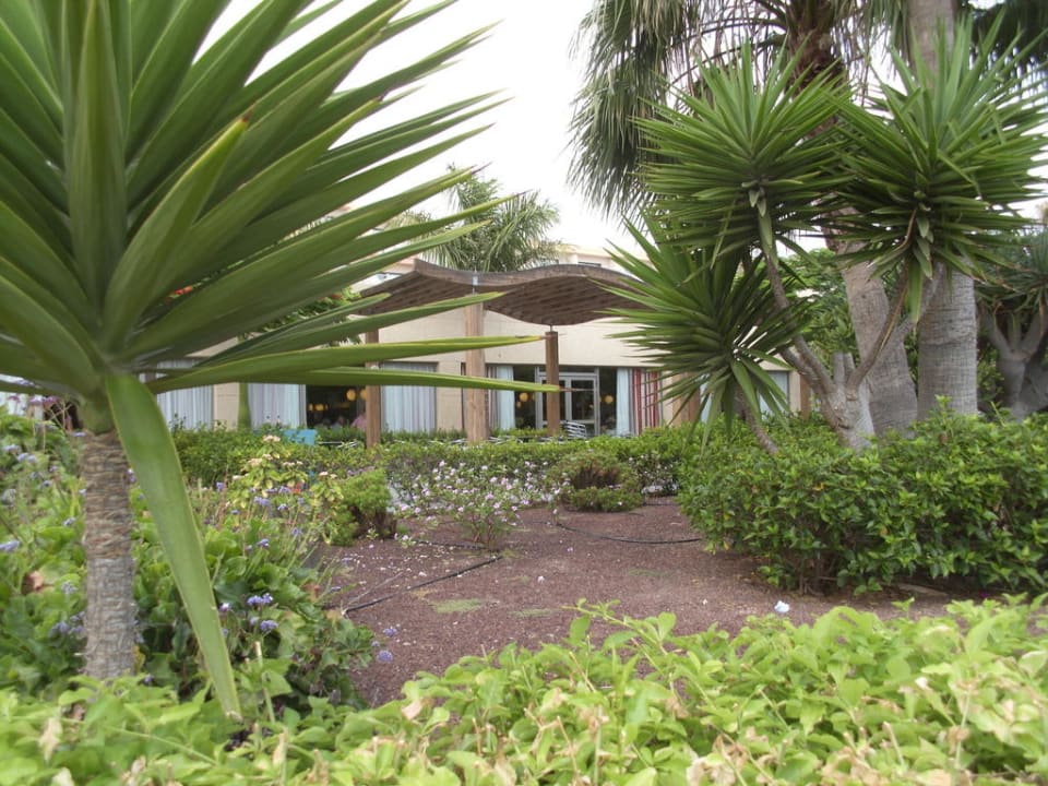 Blick zum Restaurant vom Garten aus SBH Hotel Taro Beach