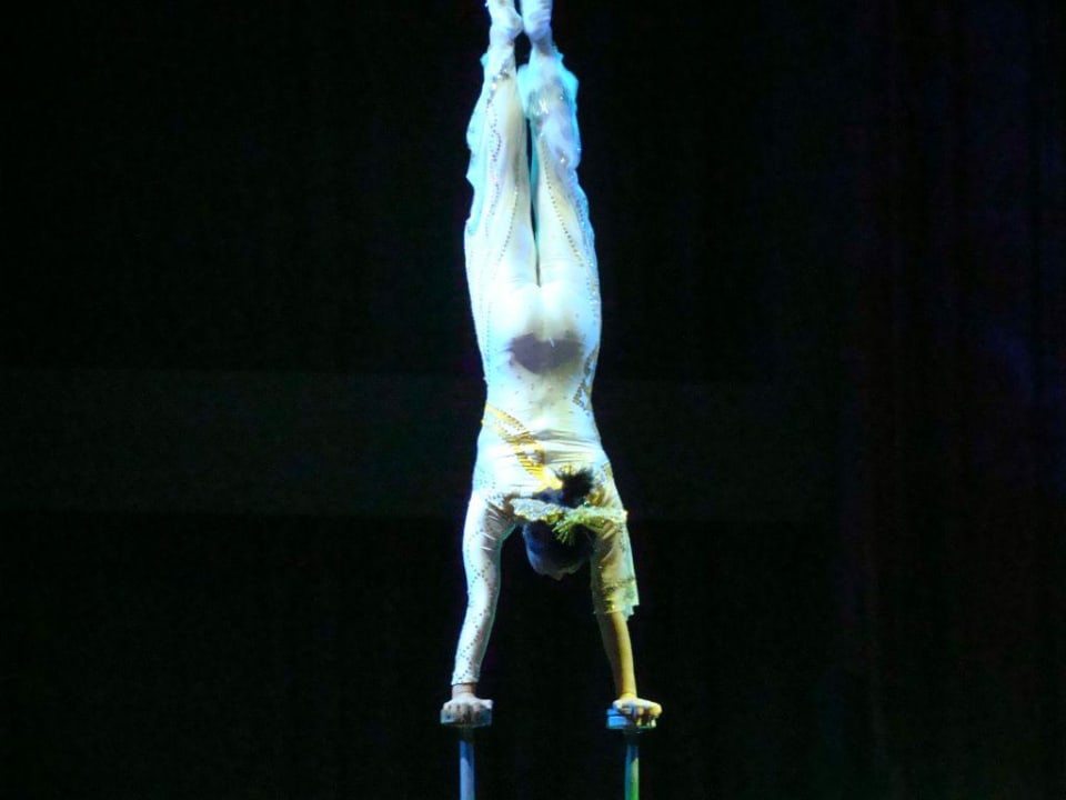 Abendliche Show Heide Park Abenteuerhotel