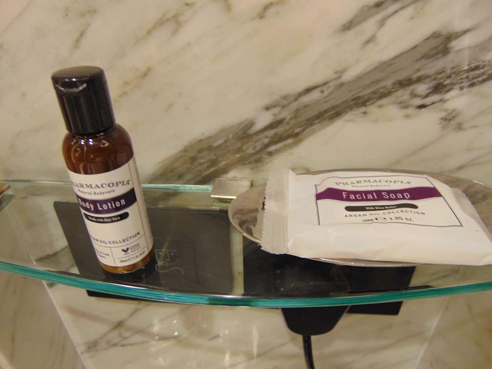 Zimmer Hotel Hyatt Regency Delhi