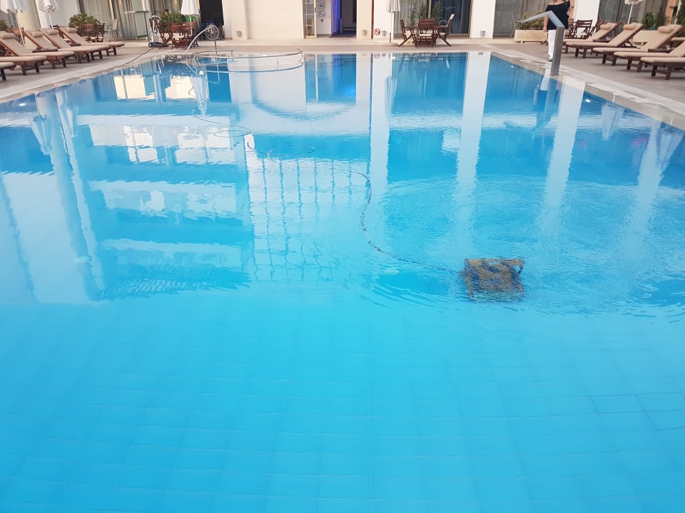 Pool Albatros Spa & Resort Hotel