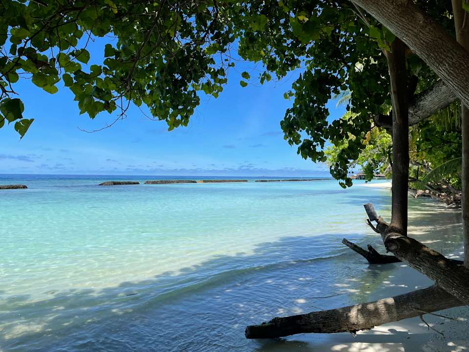 Strand Kuramathi Maldives