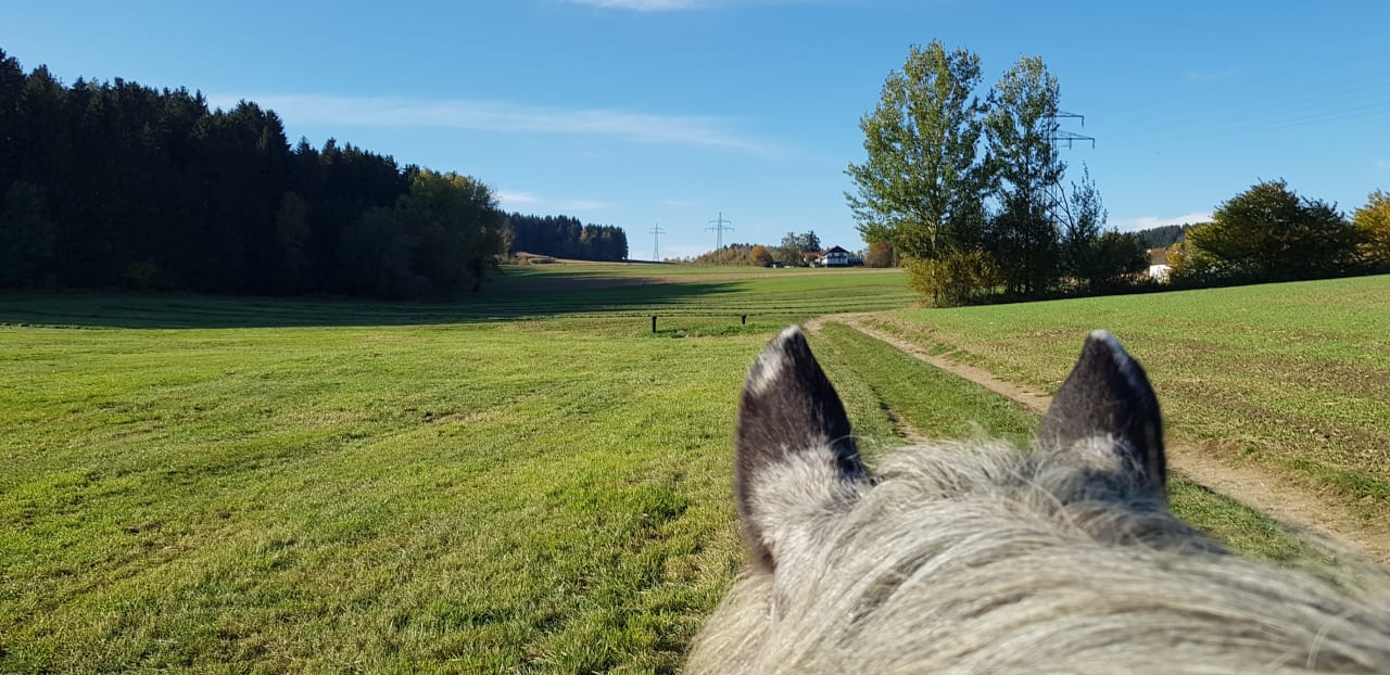 Ausblick Tigerhill-Ranch-Norikerhof