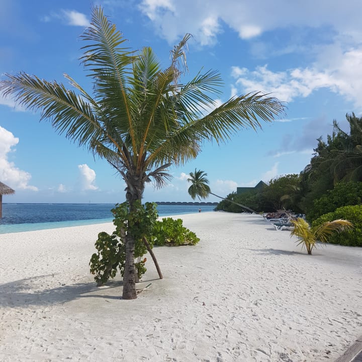 Strand Meeru Maldives Resort Island