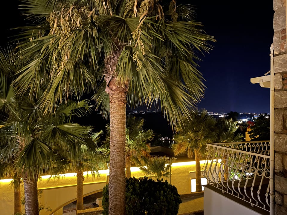 Zimmer TUI MAGIC LIFE Bodrum - Adult Only (16+)