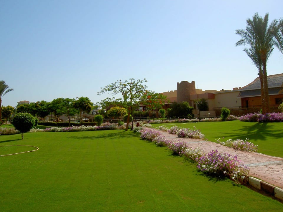 Rasen top gepflegt ohne Insekten! Pickalbatros Dana Beach Resort - Hurghada