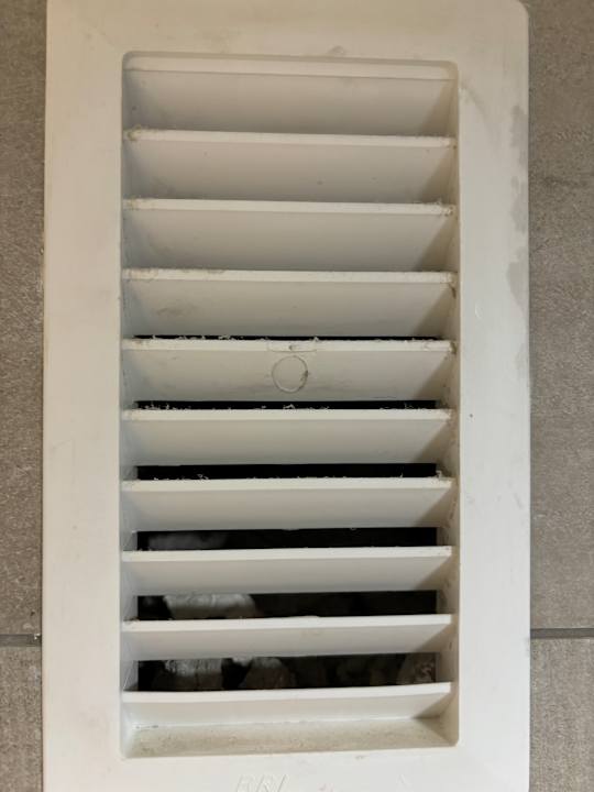 Zimmer Barceló Fuerteventura Mar