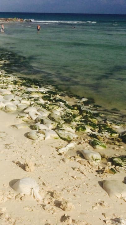 Gran Porto Real Playa del Carmen Wyndham ALLTRA Playa del Carmen