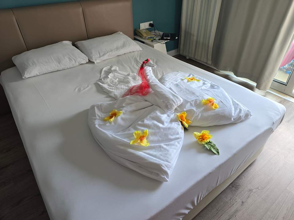 Zimmer Seashell Resort