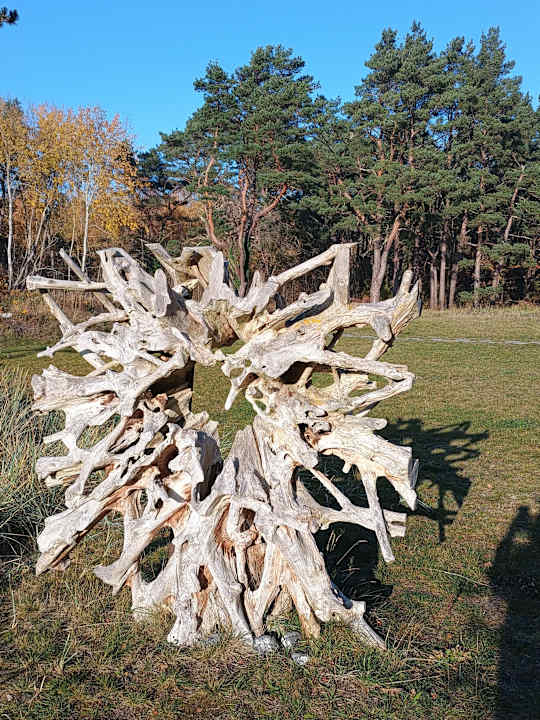 Strand Santé Royale Rügen Resort