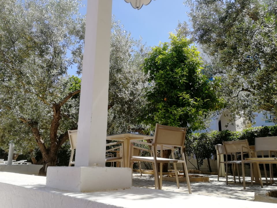 Gartenanlage Diar Lemdina Hotel