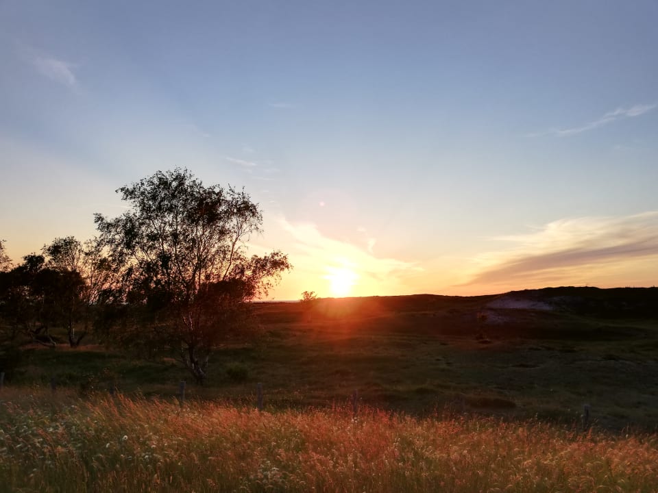 Ausblick Strandhotel Weissenhäuser Strand