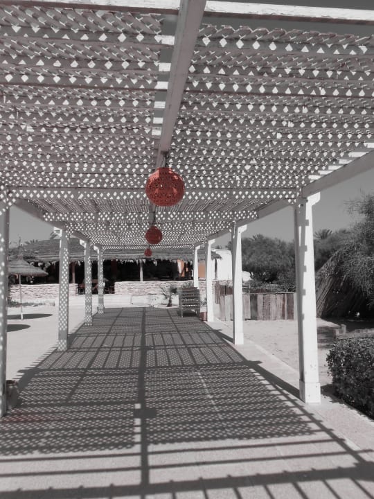 Lust auf Yoga? Djerba Sun Beach Hotel & Spa