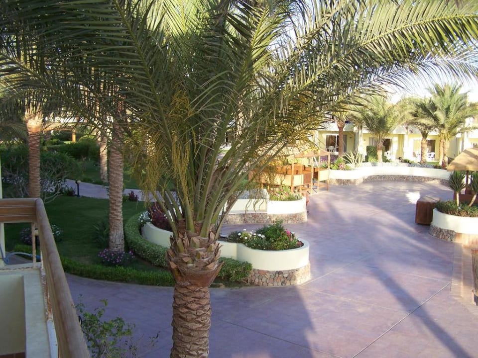 Zahrada Palm Beach Resort
