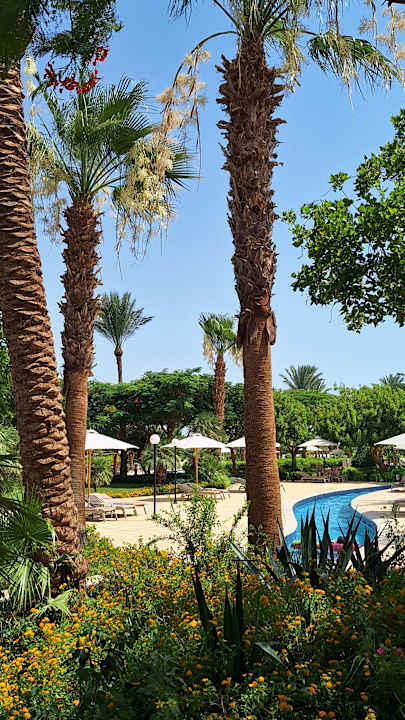 Gartenanlage Steigenberger ALDAU Beach Hotel