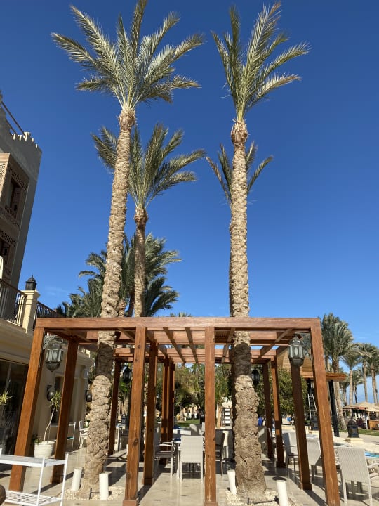 Gastro Makadi Spa - Adults only