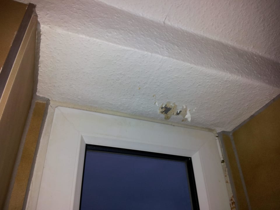 Kaputte Tapete Hotel Ahl Meerkatzen